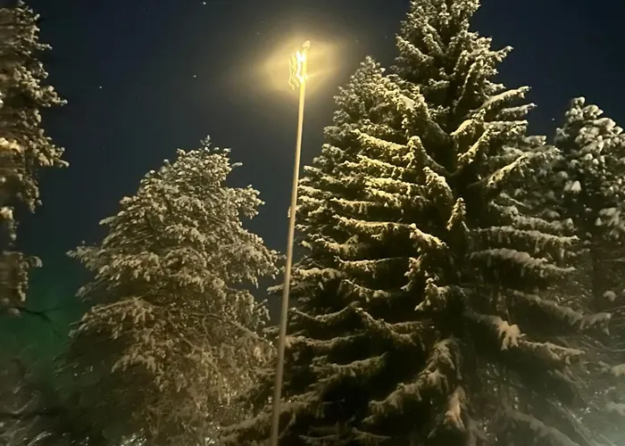 Teddy's Hideout Villa